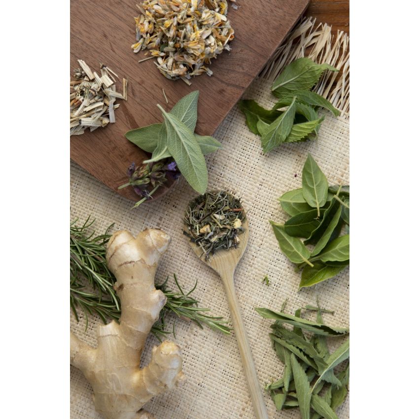 Drain You - Dia de Spa