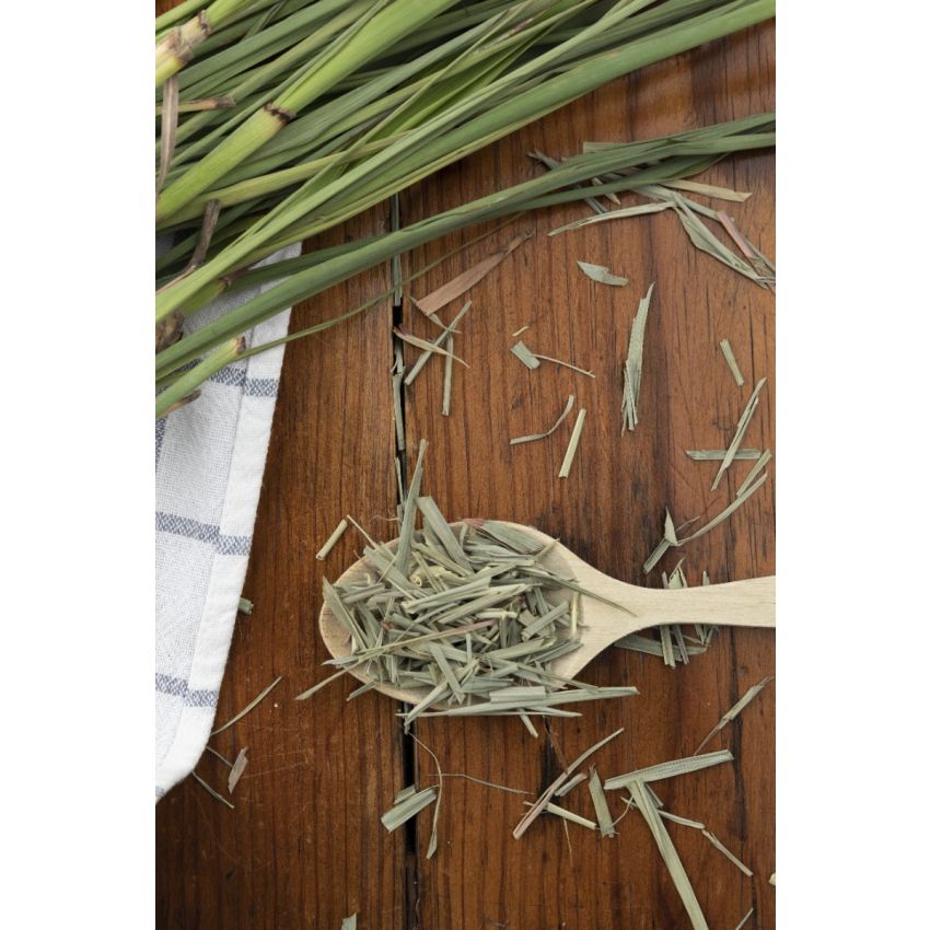 Erva Príncipe -Infusão