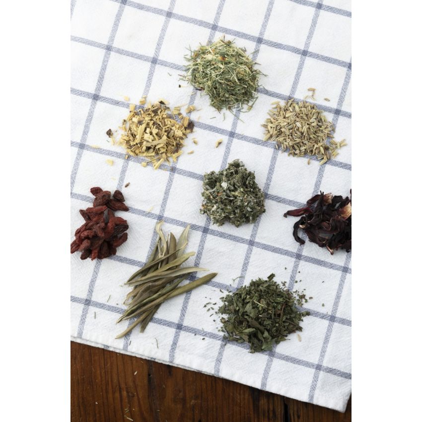 Forever Young - Tisana Antioxidante