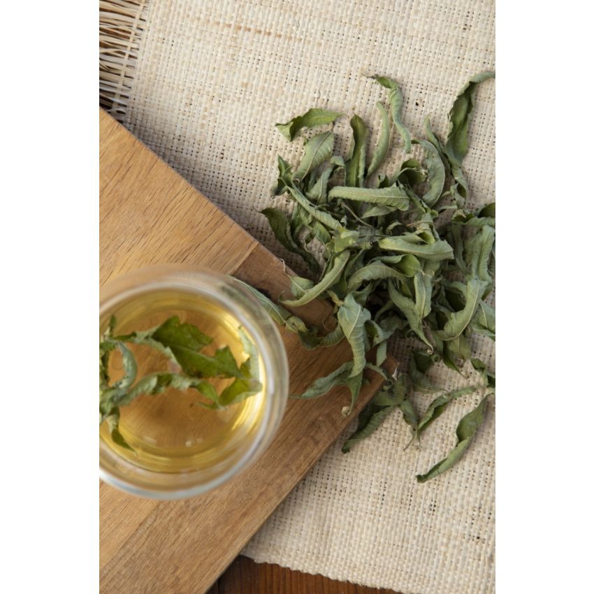 Lucia Lima -Infusão